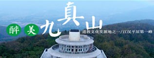 骚妇乱中文区