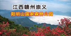欧美肥婆插大屌